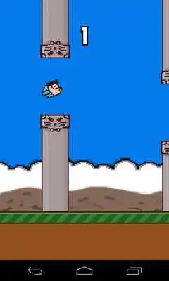 Play Dora Bird