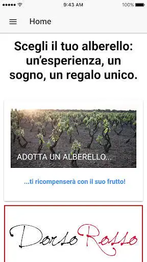 Play Dorso Rosso as an online game Dorso Rosso with UptoPlay