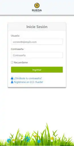Play D.O. Rueda  and enjoy D.O. Rueda with UptoPlay