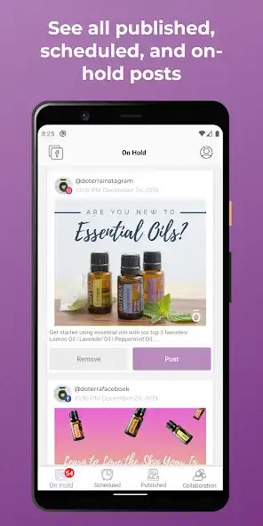 Play doTERRA Social as an online game doTERRA Social with UptoPlay