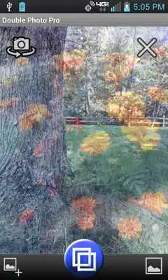 Play Double Photo Play Double Photo