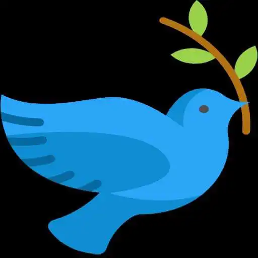 Play Dove Bird Fact APK Play Dove Bird Fact APK