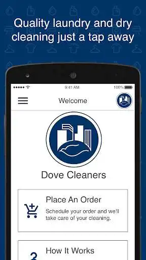 Play Dove Cleaners