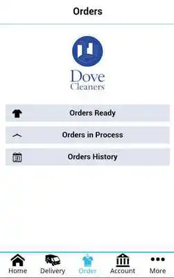 Play Dove Cleaners