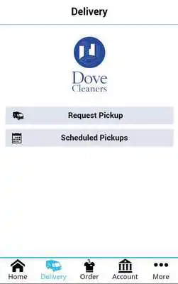 Play Dove Cleaners