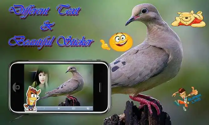 Play Dove Photo Frames