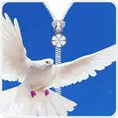 Free play online Dove Screen Zipper Locker APK