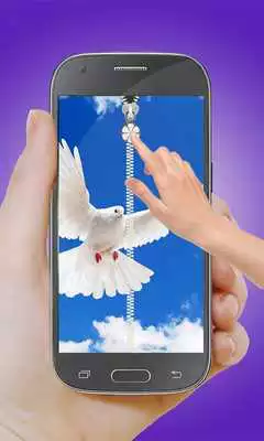 Play Dove Screen Zipper Locker