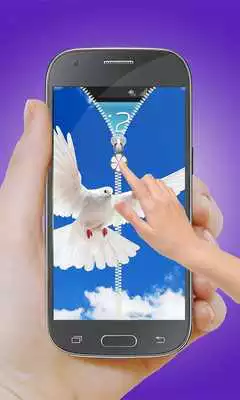 Play Dove Screen Zipper Locker