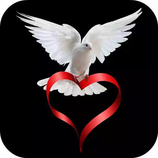 Play Doves Live Wallpaper APK
