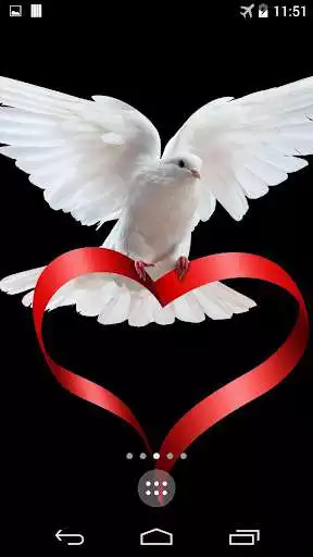 Play Doves Live Wallpaper  and enjoy Doves Live Wallpaper with UptoPlay