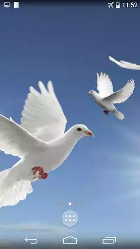 Play Doves Live Wallpaper as an online game Doves Live Wallpaper with UptoPlay