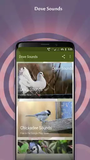 Play Dove Sounds  and enjoy Dove Sounds with UptoPlay