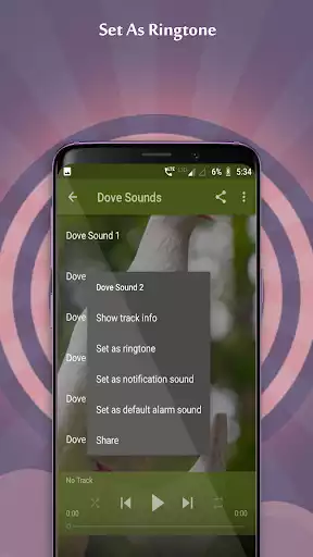 Play Dove Sounds as an online game Dove Sounds with UptoPlay