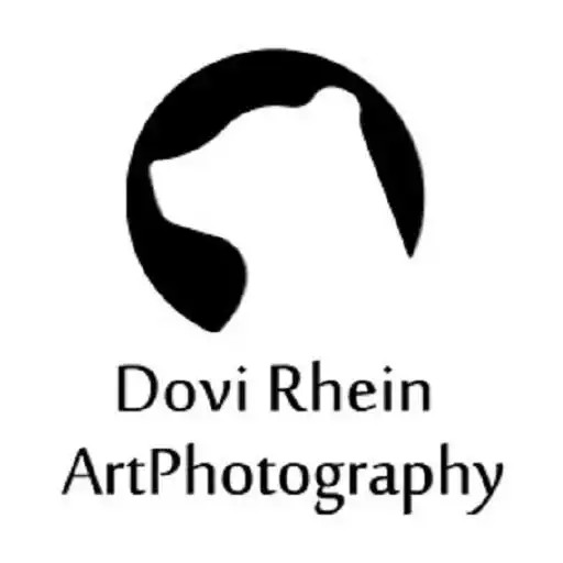 Play Dovi Rhein and enjoy Dovi Rhein with UptoPlay Play Dovi Rhein and enjoy Dovi Rhein with UptoPlay
