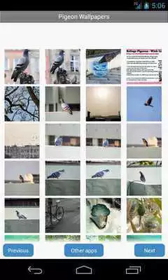 Play Dow Chinaplas Show Guide
