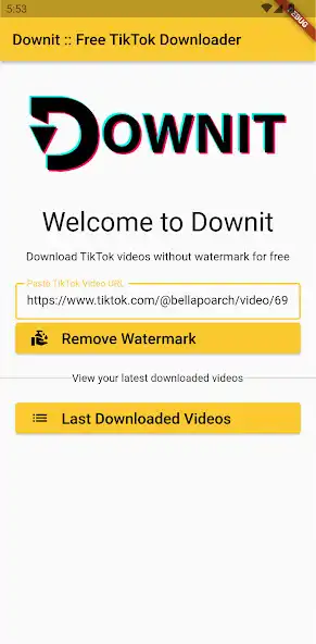 Play Downit : TikTok No Watermark  and enjoy Downit : TikTok No Watermark with UptoPlay