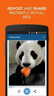 Play +Download 4 Instagram Twitter