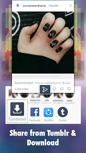 Play Downloader for Tumblr as an online game Downloader for Tumblr with UptoPlay