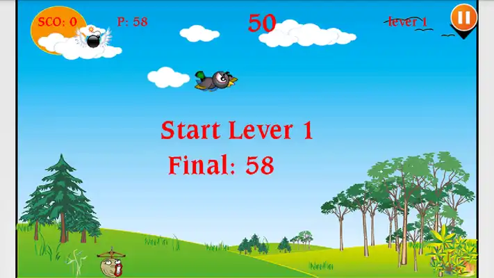 Play Download game Bird Shooting