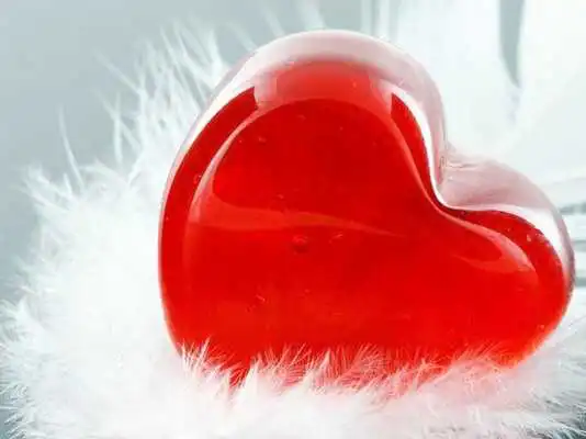 Play Download Lover Wallpapers