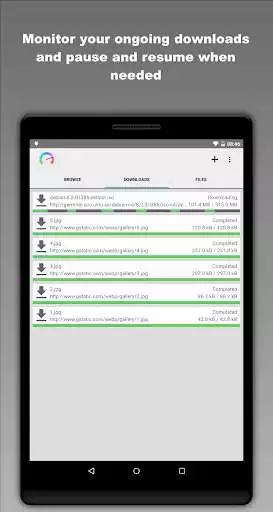 Play Download Manager