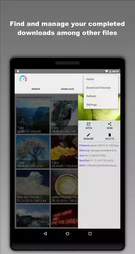 Play Download Manager