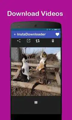 Play Download  Repost for inst