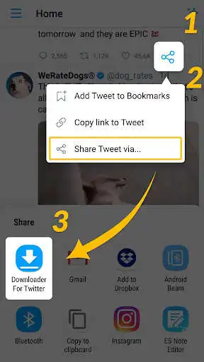 Play Download Twitter Videos - GIF  and enjoy Download Twitter Videos - GIF with UptoPlay
