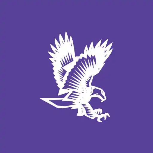 Play Downsville CSD, NY APK