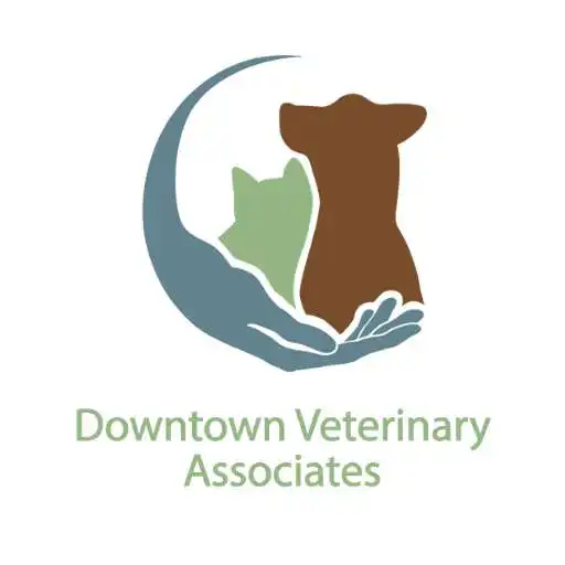 Play Downtown Veterinary Assoc APK