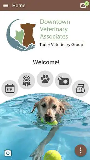 Play Downtown Veterinary Assoc  and enjoy Downtown Veterinary Assoc with UptoPlay