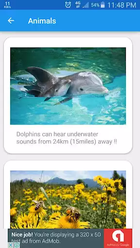 Play Do You Know (Template App) as an online game Do You Know (Template App) with UptoPlay