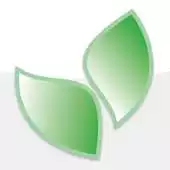 Free play online DP-stress light APK