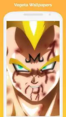 Play Dragon DBZ Wallpaper