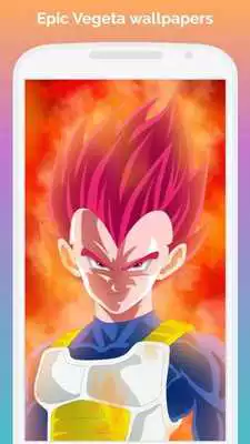 Play Dragon DBZ Wallpaper