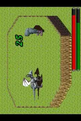 Play DragonFight *EARTH AdSupport*