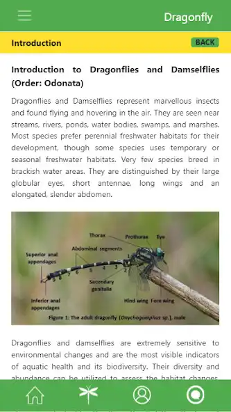 Play Dragonflies and Damselflies of Western Ghats India as an online game Dragonflies and Damselflies of Western Ghats India with UptoPlay