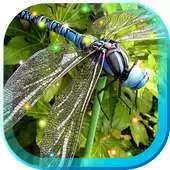 Free play online Dragonfly Best APK