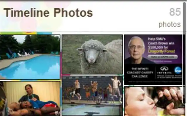 Play Dragonfly Forest Play Dragonfly Forest