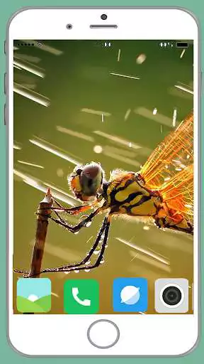 Play Dragonfly Full HD Wallpaper as an online game Dragonfly Full HD Wallpaper with UptoPlay