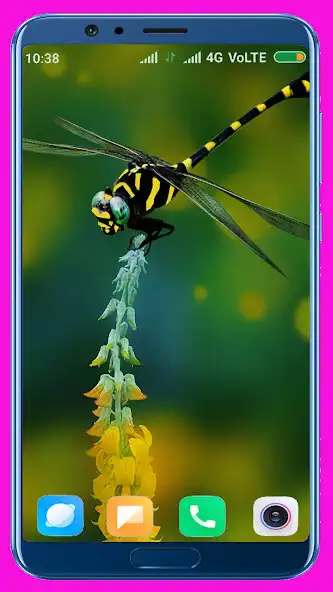 Play Dragonfly HD Wallpaper  and enjoy Dragonfly HD Wallpaper with UptoPlay