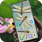 Free play online Dragonfly in phone prank APK