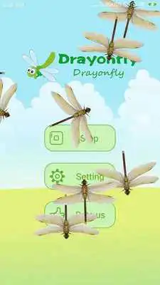 Play Dragonfly in phone prank
