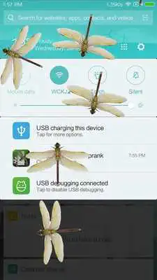 Play Dragonfly in phone prank