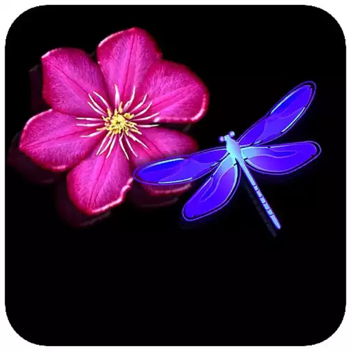 Play Dragonfly Wallpaper APK Play Dragonfly Wallpaper APK
