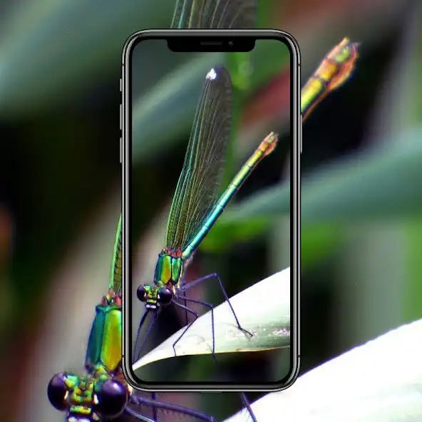 Play Dragonfly Walpaper and enjoy Dragonfly Walpaper with UptoPlay Play Dragonfly Walpaper and enjoy Dragonfly Walpaper with UptoPlay
