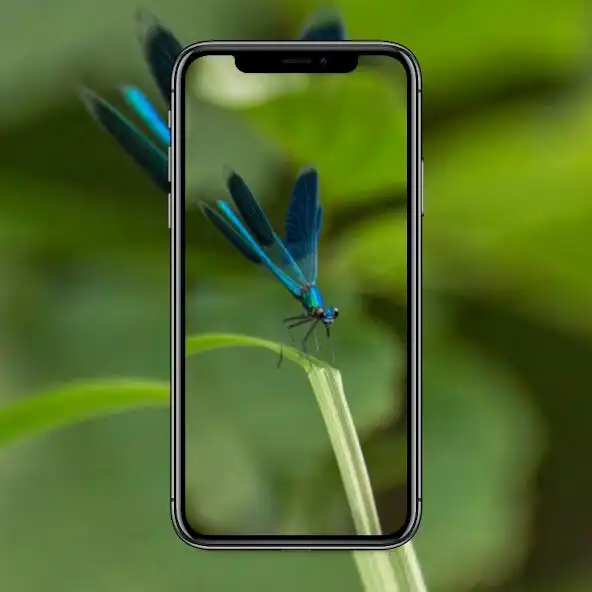 Play Dragonfly Walpaper as an online game online Dragonfly Walpaper with UptoPlay Play Dragonfly Walpaper as an online game Dragonfly Walpaper with UptoPlay