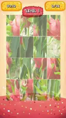 Play Dragon fruit Jigsaw Puzzles