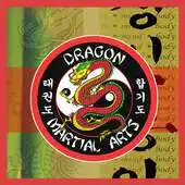 Free play online Dragon Martial Arts  Fitness APK